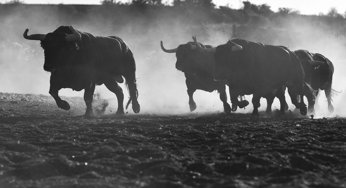 Paytm posted its earnings for the December quarter on January 20.
The payment giant reported that its net loss for the December quarter narrowed to ₹208 crore (around $24.4 million), compared to ₹220 crore in the same period last year. 
During the quarter, Paytm completed the sale of its stake in Japan’s PayPay Corporation for $280 million (₹2,372 crore), resulting in a reported gain of ₹388 crore.
This follows the company’s massive profit in the September quarter, driven by a one-time gain from the sale of its ticketing business to Zomato. 
Without this exceptional gain, Paytm would have remained in the red. 
Despite the narrowing loss, the company continued to experience challenges, though its digital payments business showed signs of recovery, particularly following the winding down of its payments bank unit.
Revenue for the quarter fell 36%, standing at ₹1,828 crore, down from ₹2,850 crore in the same quarter last year. 
However, on a quarter-on-quarter (Q-o-Q) basis, revenue grew by 10% due to an increase in Gross Merchandise Value (GMV), growth in subscription revenues, and a rise in revenues from financial services distribution.
Shares of the fintech major were up over 1% to trade at ₹910.65 on Monday.
Paytm’s revenue breakdown
Of the total revenue of ₹1,828 crore, ₹1,059 crore came from the payments business, showing an 8% growth on a Q-o-Q basis, while ₹502 crore was generated from financial services, reflecting a 34% increase Q-o-Q. 
Paytm also reported having 1.17 crore merchant subscriptions as of December 2024, an increase of 5 lakh Q-o-Q, with revenue per merchant rising. 
The company noted that its strategy of refurbishing inactive devices and redeploying them at new merchants contributed to the rise in revenue per merchant and reduced capital expenditure.
Paytm’s Monthly Transacting Users (MTUs) on the consumer payments side increased to 7.2 crore in December 2024, up from 6.8 crore in September 2024, following the Reserve Bank of India’s approval to onboard new UPI customers in October.
Paytm’s financial services revenue was bolstered by an increase in the share of merchant loans, higher trail revenue from the Default Loss Guarantee (DLG) portfolio, and better collection efficiencies. 
During the quarter, 5.9 lakh customers utilized Paytm’s platform for services like loans, equity broking, and insurance. 
The company disbursed ₹3,831 crore in merchant loans, showing slight improvement from the previous quarter, with a significant portion under the DLG model.
Paytm continued to recalibrate its personal loans business, focusing on a distribution-only model and tightening risk policies in collaboration with lenders. 
The company disbursed ₹1,746 crore in personal loans during the quarter. It also saw increased interest from lenders to partner under the DLG model for both merchant and personal loans, which is expected to boost disbursements and expand partnerships with new lenders.
The outstanding AUM for DLG portfolios as of December 31, 2024, stood at ₹4,244 crore, compared to ₹1,651 crore on September 30, 2024.
The post <a href="https://invezz.com/news/2025/01/20/indias-paytm-sees-losses-narrow-to-208-crore-shares-tick-up/">India’s Paytm sees losses narrow to ₹208 crore, shares tick up</a> appeared first on <a href="https://invezz.com/">Invezz</a> India’s Paytm sees losses narrow to ₹208 crore, shares tick up